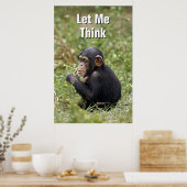 Baby Chimpansee | Pan Troglodytes Poster (Keuken)
