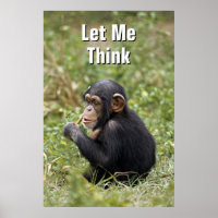 Baby Chimpansee | Pan Troglodytes