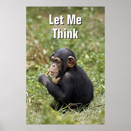 Baby Chimpansee | Pan Troglodytes Poster (Voorkant)