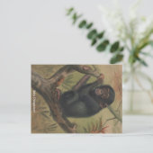 Baby Chimpansee  Zoologische Schets Briefkaart (Staand voorkant)