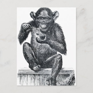  Baby chimpansetekening Briefkaart