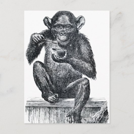  Baby chimpansetekening Briefkaart (Voorkant)