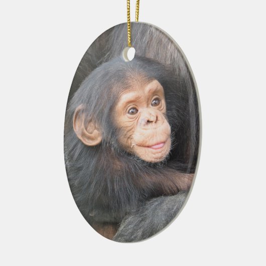 Baby Chimpanzee Keramisch Ornament (Links)