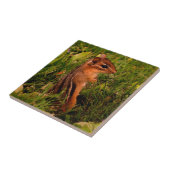 Baby Chipmunk Animal Art Tegeltje (Zijkant)