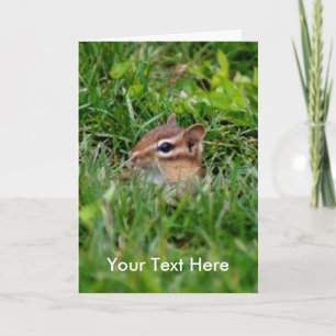 Baby Chipmunk Animal Photo Card Kaart