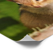 Baby Chipmunk Friends Quote Poster (Hoek)