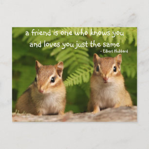Baby Chipmunk Friendship Quote Briefkaart