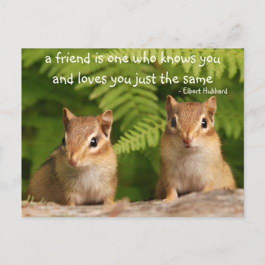 Baby Chipmunk Friendship Quote Briefkaart (Voorkant)