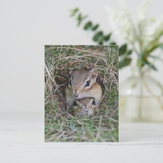 Baby Chipmunk, gebundeld Briefkaart (Staand voorkant)