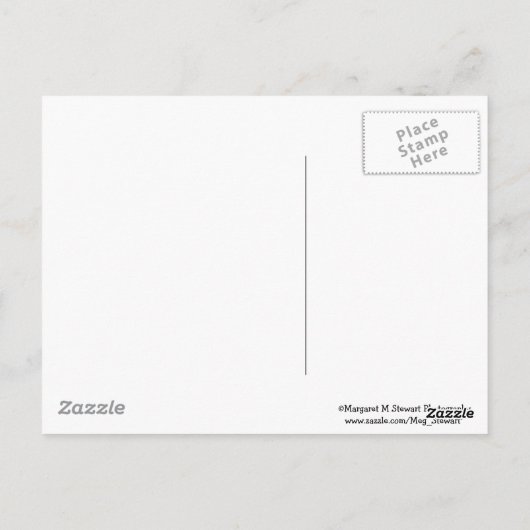 Baby Chipmunk in een boom Briefkaart (Achterkant)