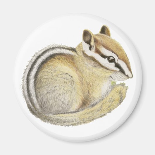 Baby Chipmunk Magneet (Voorkant)