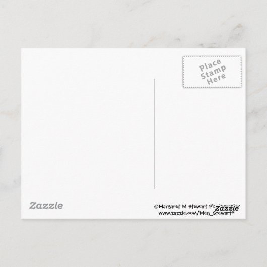 baby-chipmunk met aardbei briefkaart (Achterkant)