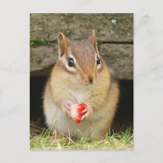 baby-chipmunk met aardbei briefkaart (Voorkant)