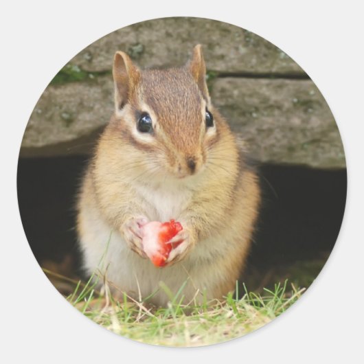 baby chipmunk met aardbei ronde sticker (Voorkant)