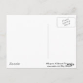 Baby Chipmunk met snack Briefkaart (Achterkant)