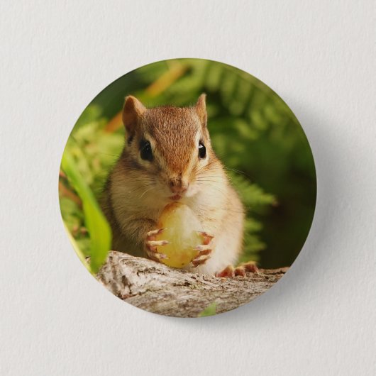 Baby Chipmunk met snack Ronde Button 5,7 Cm (Voorkant)