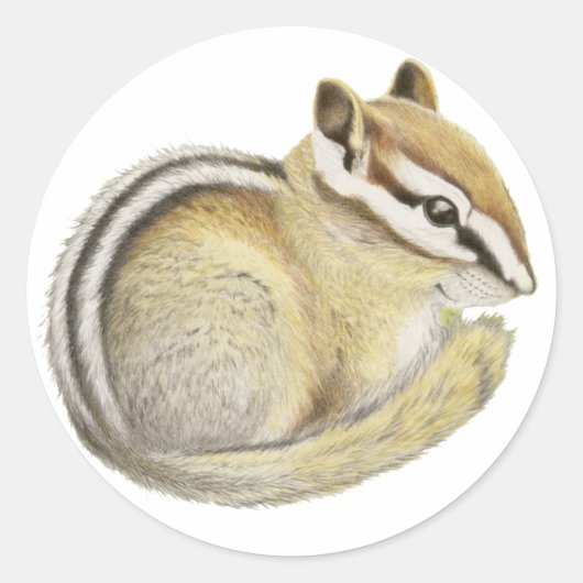Baby Chipmunk Ronde Sticker (Voorkant)