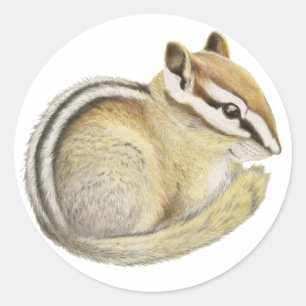 Baby Chipmunk Ronde Sticker