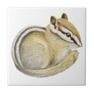 Baby Chipmunk Tegeltje