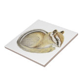 Baby Chipmunk Tegeltje (Zijkant)