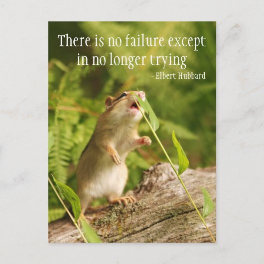 Baby Chipmunk Try Quote Briefkaart (Voorkant)
