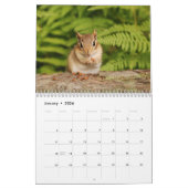 Baby Chipmunks 2013/2014 (kalender van 16 maanden) Kalender (Jan 2026)