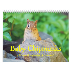 Baby Chipmunks 2014/2015 (kalender van 16 maanden) Kalender