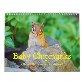 Baby Chipmunks 2016/2017 (kalender van 16 maanden) Kalender