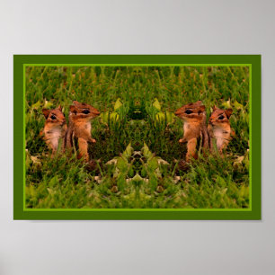 Baby Chipmunks Abstracte dierlijke kunst Poster
