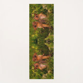 Baby Chipmunks Abstracte dierlijke kunst Yogamat (Voorkant)