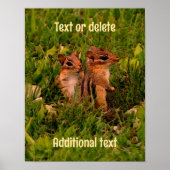 Baby Chipmunks Animal Art, gepersonaliseerd Poster (Voorkant)