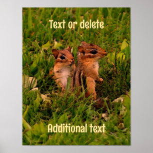 Baby Chipmunks Animal Art, gepersonaliseerd Poster