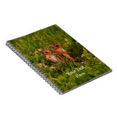 Baby Chipmunks Animal Natuur Art Notitieboek (Rechterzijde)