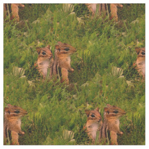 Baby Chipmunks Animal Natuur Art Stof