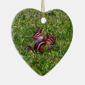 Baby Chipmunks Animal Natuur Ornament (Rechts)