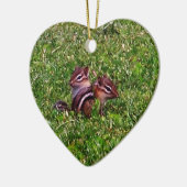 Baby Chipmunks Animal Natuur Ornament (Links)