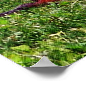 Baby Chipmunks eerste dag #5 Dier Poster (Hoek)