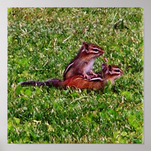 Baby Chipmunks eerste dag #5 Dier Poster