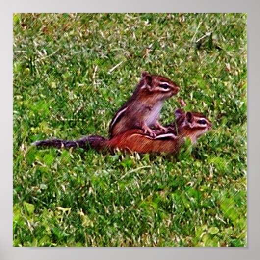 Baby Chipmunks eerste dag #5 Dier Poster (Voorkant)