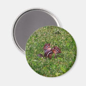 Baby Chipmunks Eerste Dag Dierenmagneet Magneet (Voorkant / Achterkant)