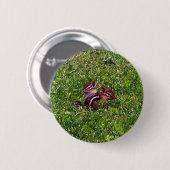 Baby Chipmunks eerste dag dierlijke Button (Voorkant /achterkant)