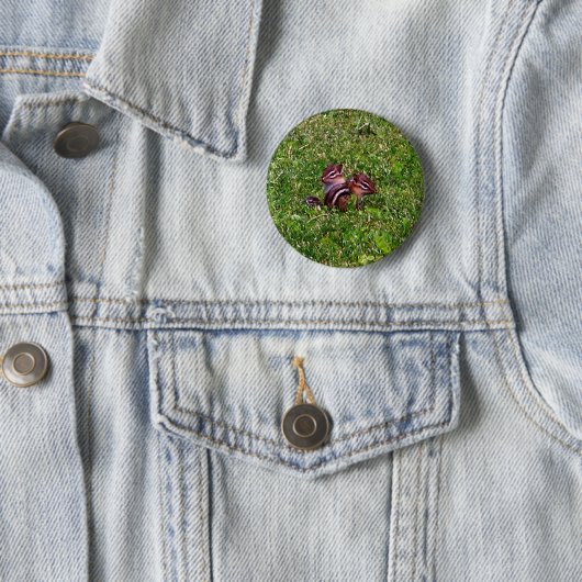 Baby Chipmunks eerste dag dierlijke Button (In situ)