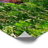 Baby Chipmunks First Day #1 Animal Poster (Hoek)