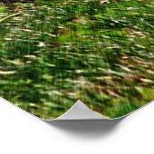 Baby Chipmunks First Day #2 Animal Poster (Hoek)