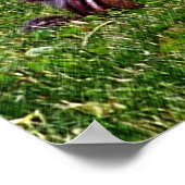 Baby Chipmunks First Day #3 Animal Poster (Hoek)