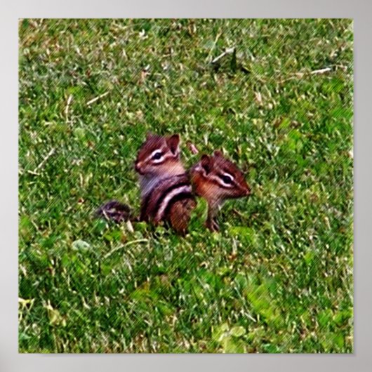 Baby Chipmunks First Day #3 Animal Poster (Voorkant)