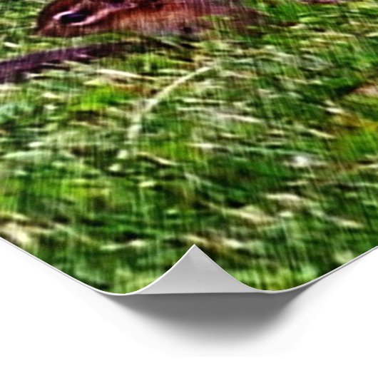 Baby Chipmunks First Day #4 Animal Poster (Hoek)