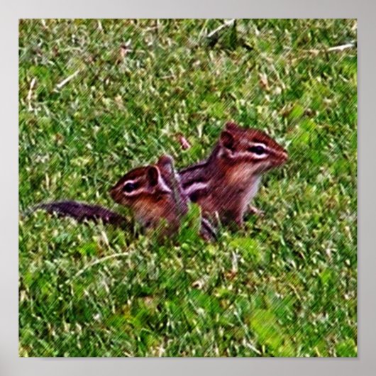 Baby Chipmunks First Day #4 Animal Poster (Voorkant)