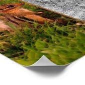 Baby Chipmunks Lijst Creëer Uw eigen foto Poster (Hoek)