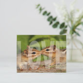 Baby Chipmunks Love Design Briefkaart (Staand voorkant)